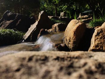 Scenic view of waterfall