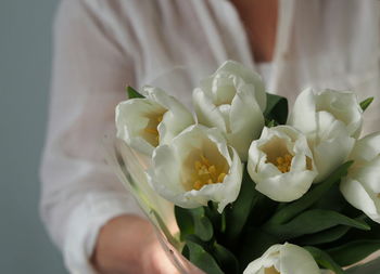 Close-up of hand holding white rose flower