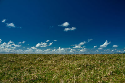 Scenic view of agricultural field against blue sky