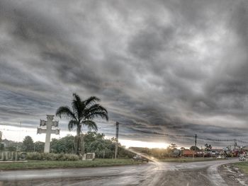 View of palm trees against cloudy sky