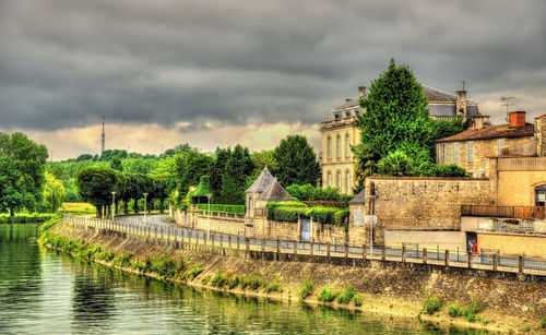 Plants and trees by lake against buildings