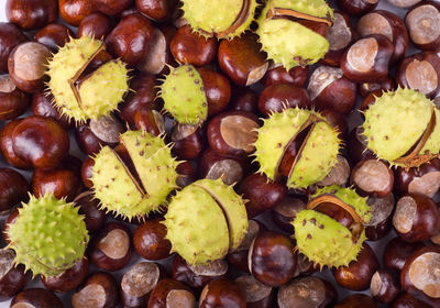 Full frame shot of chestnuts