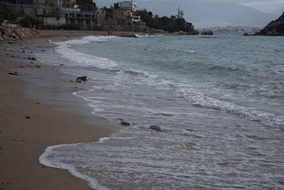 Scenic view of beach