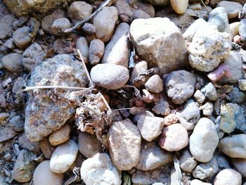 Full frame shot of pebbles on sand