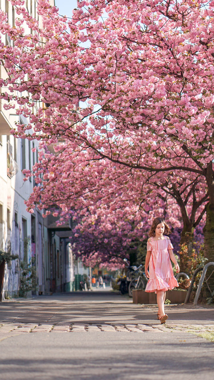 WOMAN WITH PINK CHERRY BLOSSOMS