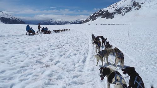 People with dog on snow covered land