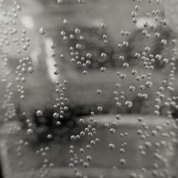 Close-up of water drops on window