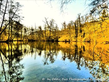 Scenic view of lake in forest against sky