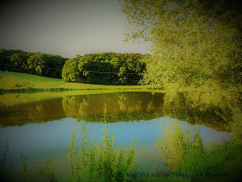 Scenic view of lake by trees against sky