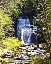 Scenic view of waterfall in forest