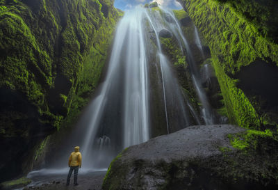 Rear view of waterfall against trees in forest