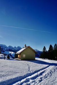 Snow covered houses and trees against blue sky