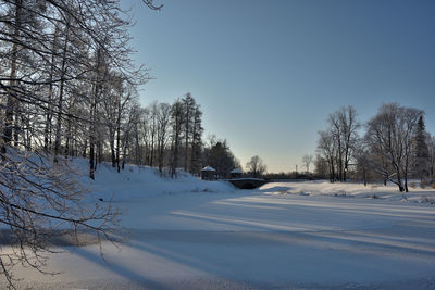 Bare trees on snow covered land against sky