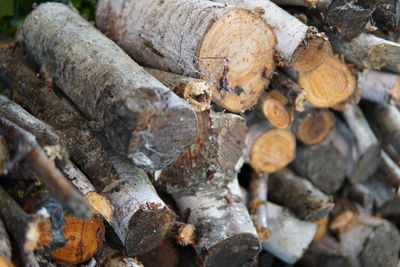 Full frame shot of logs in forest