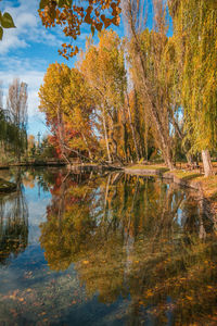 Reflection of trees in lake against sky during autumn