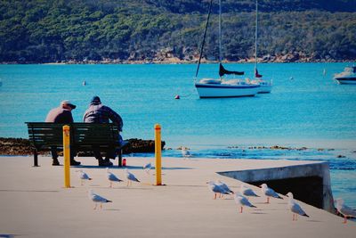 People sitting on deck chairs at beach