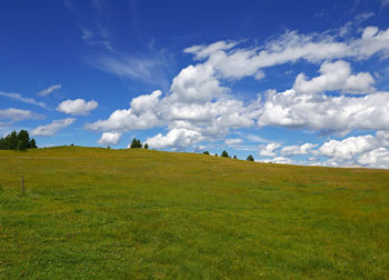 Scenic view of field against sky