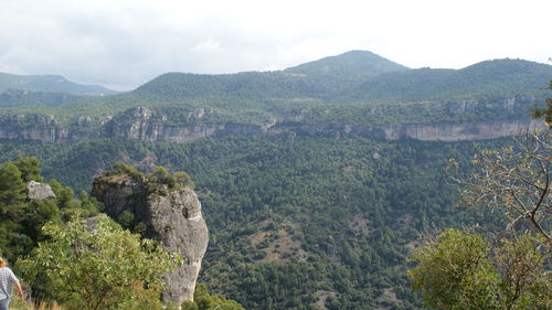 High angle view of green landscape