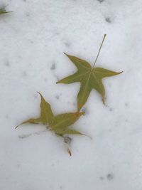 High angle view of snow on field