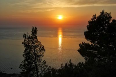 Silhouette tree by sea against sky during sunset