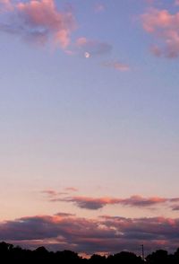 Silhouette of trees at sunset