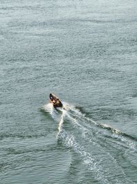 Man swimming in sea