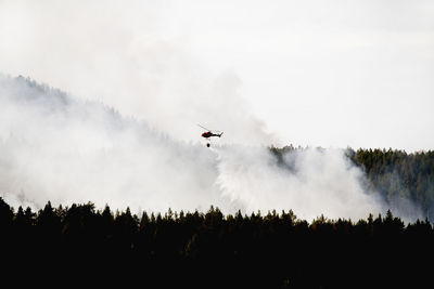 Helicopter dumping water on forest fire