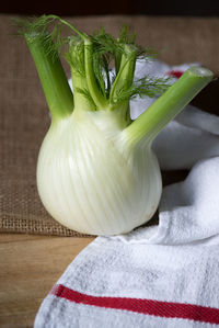 High angle view of vegetables on table