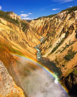 Canyon yellowstone national park