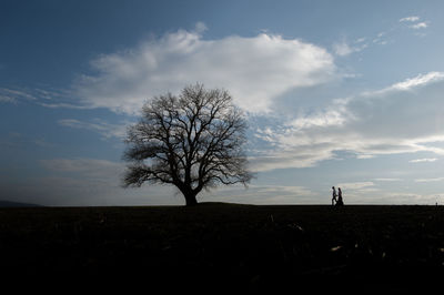 Silhouette tree on field against sky during sunset