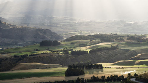Landscape with green rolling hills and pastures lit by soft warm sunlight, new zealand