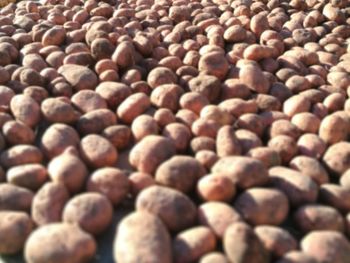 Full frame shot of coffee beans