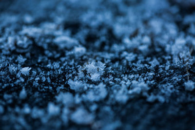 Full frame shot of snowflakes