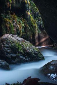 Close-up of waterfall against trees