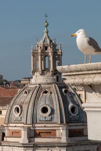 High angle view of seagull on building against sky