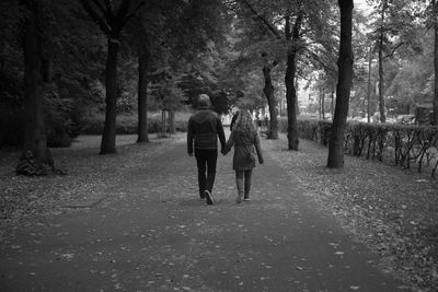 Rear view of couple holding hands while walking on footpath amidst trees at park