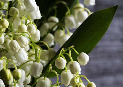 Close-up of lily-of-the-valley flowers on wooden table