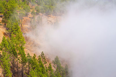 Scenic view of fog