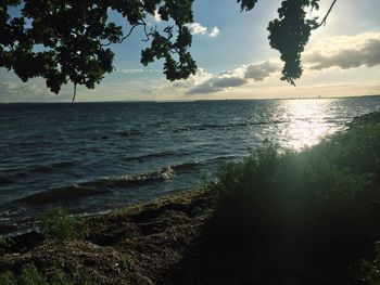 Scenic view of sea during sunset