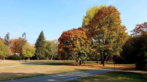 Trees in park against sky during autumn