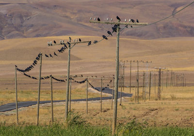 Scenic view of field seen through fence