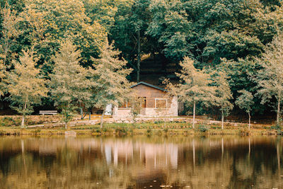 Trees by lake against building