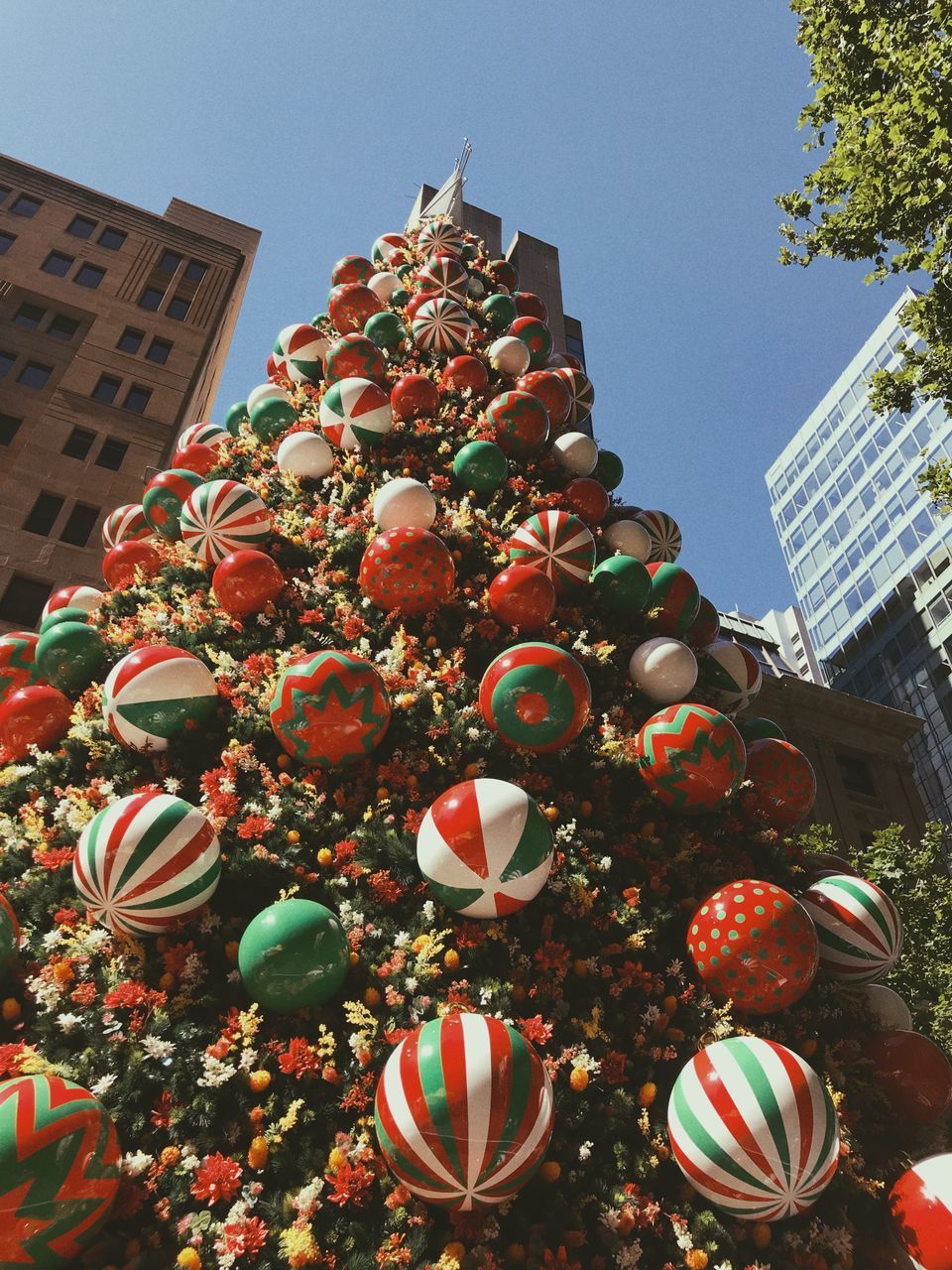 LOW ANGLE VIEW OF LANTERNS HANGING BY TREE AGAINST SKY