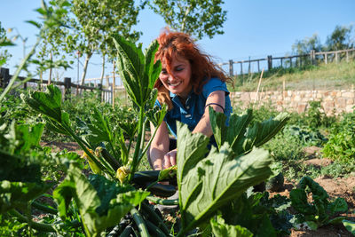 Smiling farmer woman harvesting zucchini in vegetable garden.