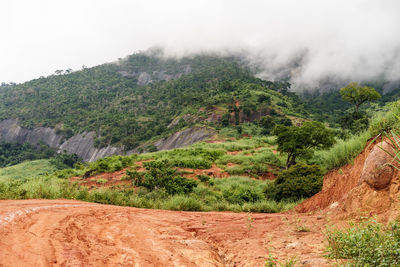 Scenic view of landscape against sky