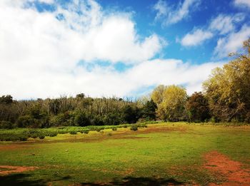 Scenic view of grassy field against cloudy sky