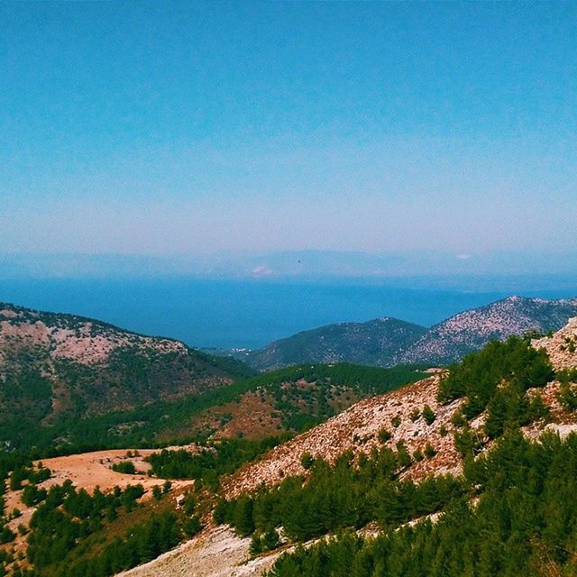 mountain, tranquil scene, scenics, landscape, blue, tranquility, beauty in nature, mountain range, tree, nature, copy space, sky, high angle view, clear sky, idyllic, non-urban scene, hill, outdoors, day, remote