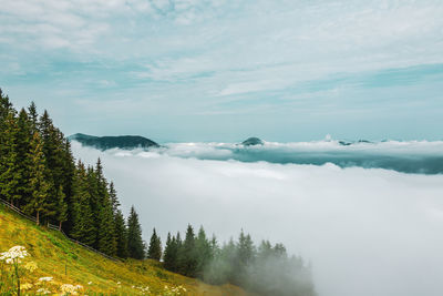 Kitzbühel alps above the clouds , austria.