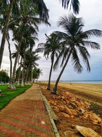 View of palm trees against sky