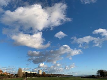 Low angle view of trees on field against sky